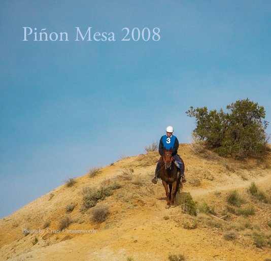 View Pinon Mesa 2008 by Cristy Cumberworth