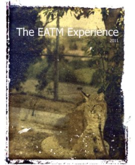 The EATM Experience 2011 book cover