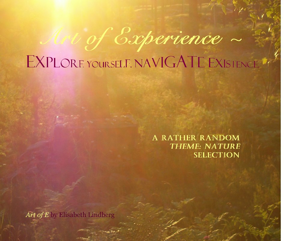 Ver (Large Landscape version) Art of Experience ~ Explore YourSelf. Navigate Existence. por Elisabeth Lindberg