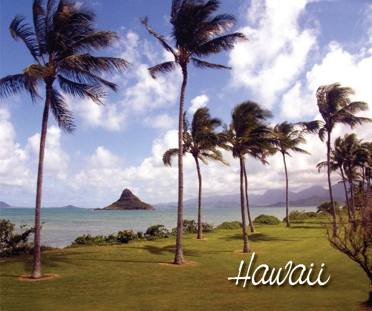 View Hawaii by Frank Gatt