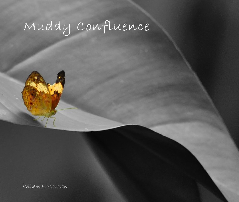 Ver Muddy Confluence por Willem F. Vlotman