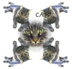 CATS book cover
