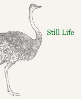 Still Life Natura Morta book cover