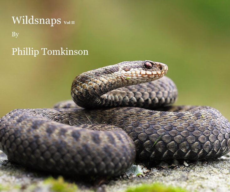 View Wildsnaps Vol II By Phillip Tomkinson by Phillip Tomkinson