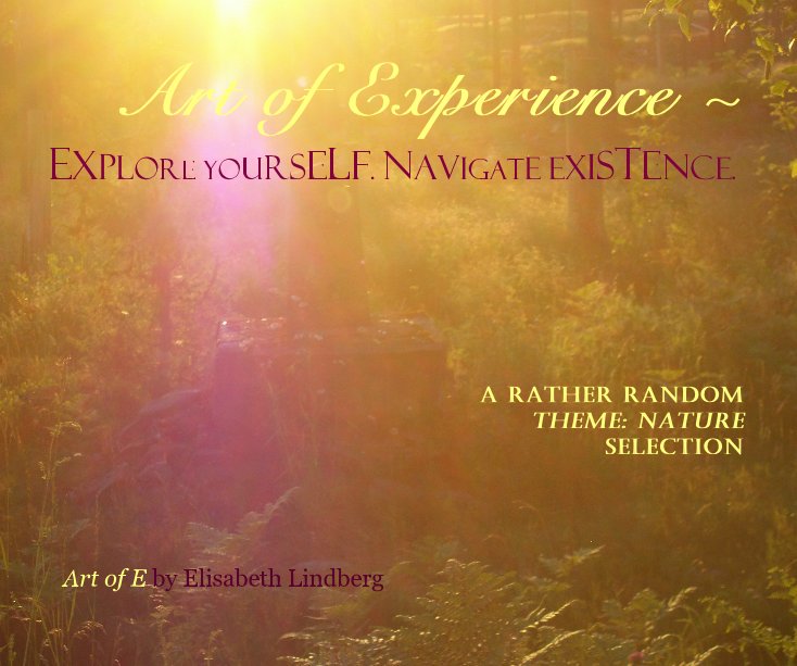 View Art of Experience ~ Explore YourSelf. Navigate Existence. by Elisabeth Lindberg