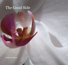 The Good Side book cover