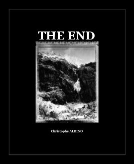 THE END Christophe ALBINO book cover
