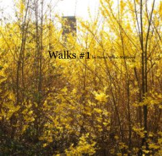 Walks #1 by Steven Wood-Matthews book cover