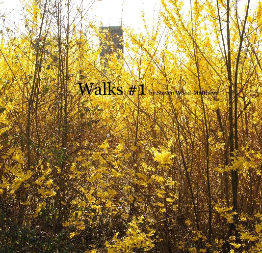 View Walks #1 by Steven Wood-Matthews by Steven Wood-Matthews