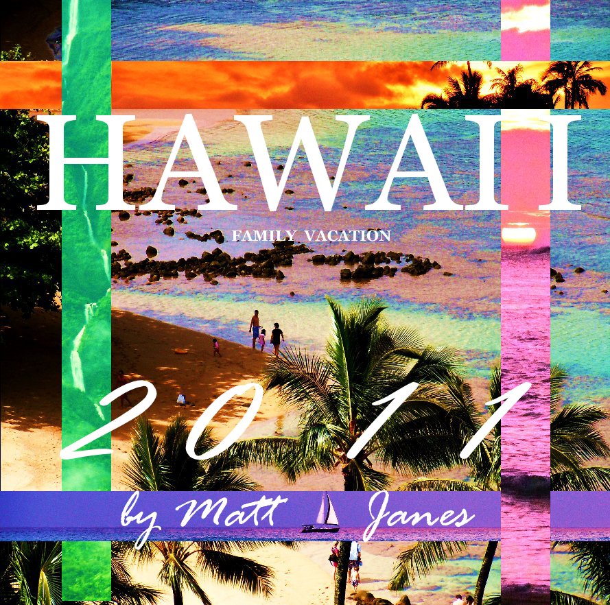 View Hawaii (2011) by Matt Janes