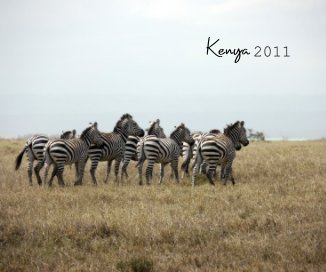 Kenya 2011 book cover