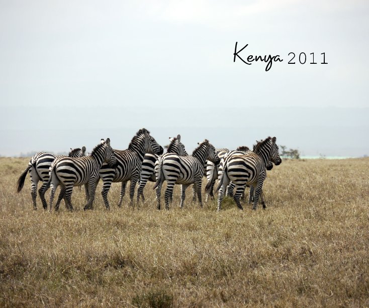 View Kenya 2011 by SOSVillages