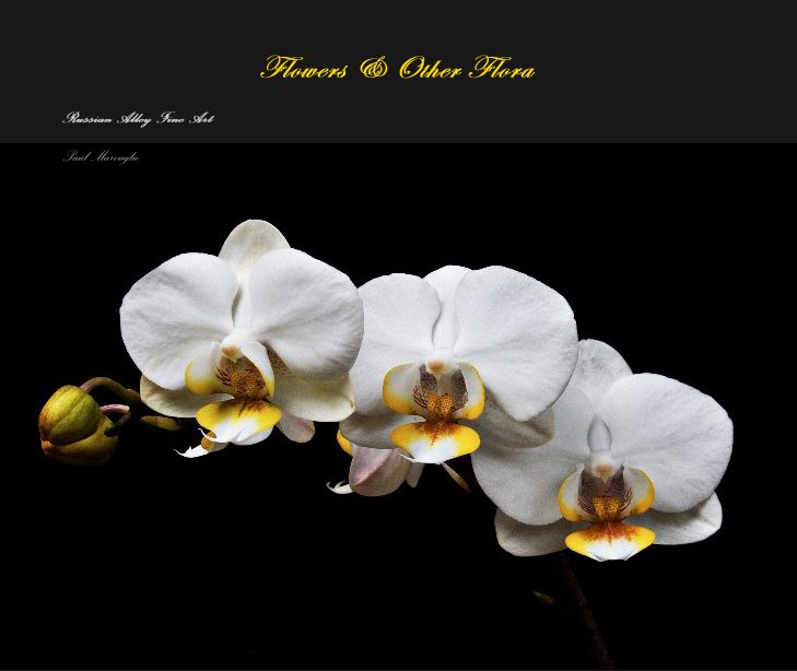 View Flowers & Other Flora by Paul Marvuglio