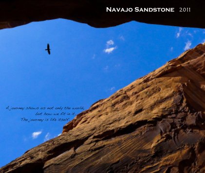 Navajo Sandstone 2011 book cover