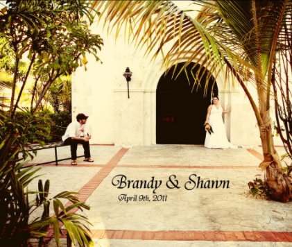 Brandy & Shawn's Wedding Day book cover