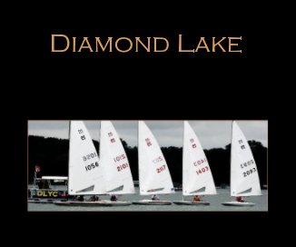 Diamond Lake book cover