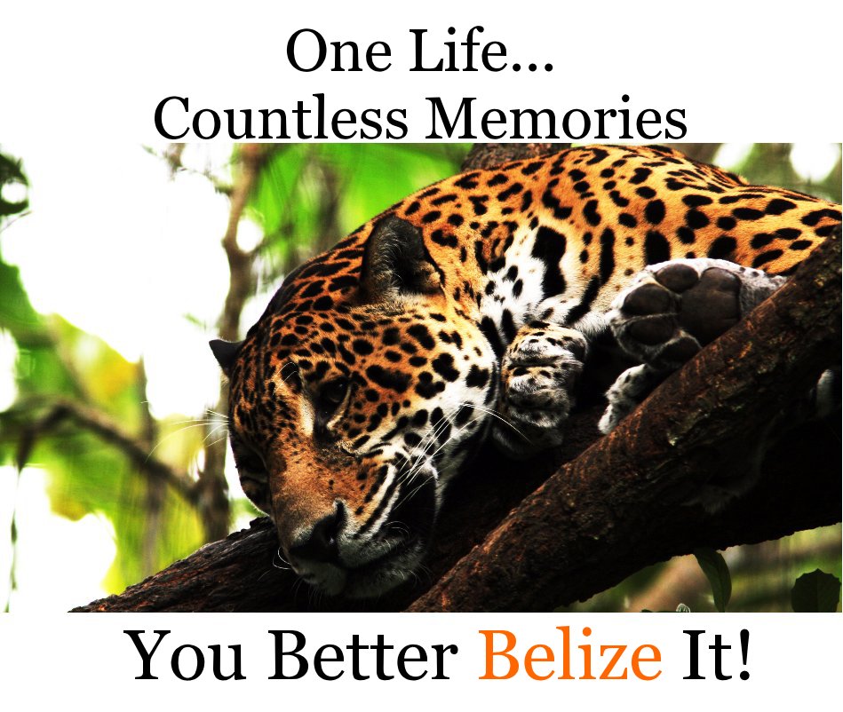 View One Life... Countless Memories by You Better Belize It!