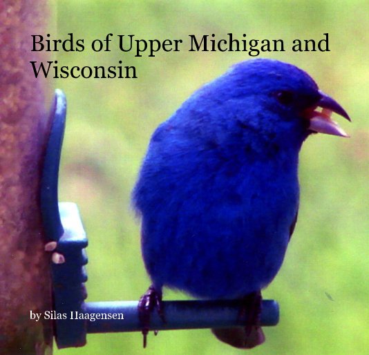 Birds of Upper Michigan and Wisconsin nach Silas Haagensen anzeigen