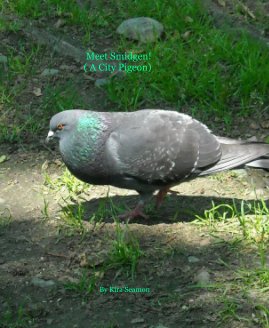 Meet Smidgen! ( A City Pigeon) book cover