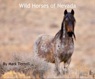 Wild Horses of Nevada book cover