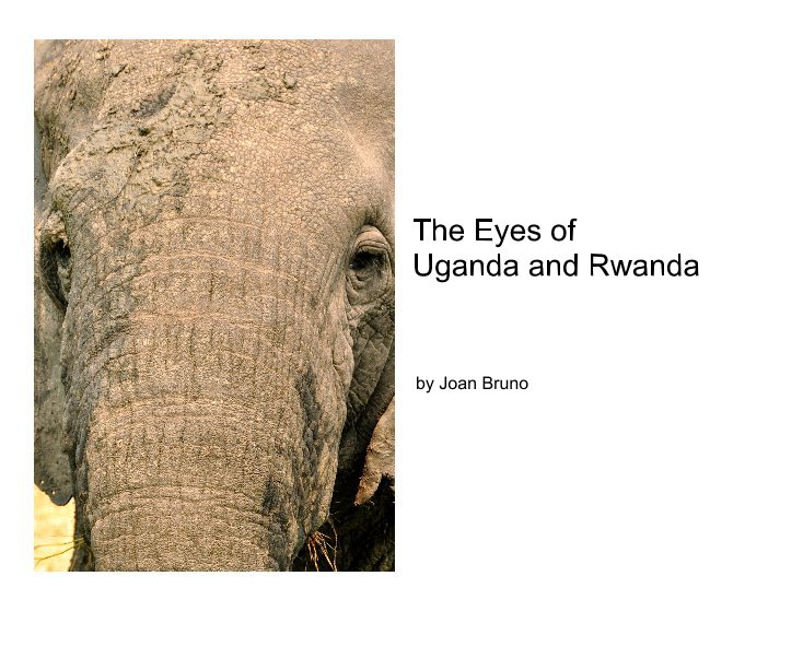 View The Eyes of Uganda and Rwanda by Joan Bruno