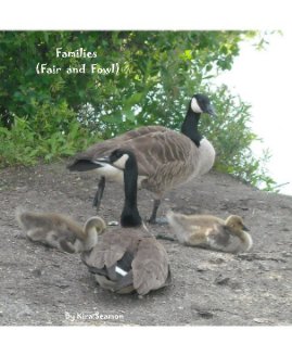 Families (Fair and Fowl) book cover
