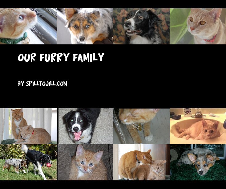 View Our Furry Family by jilbean3