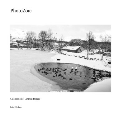PhotoZoic book cover