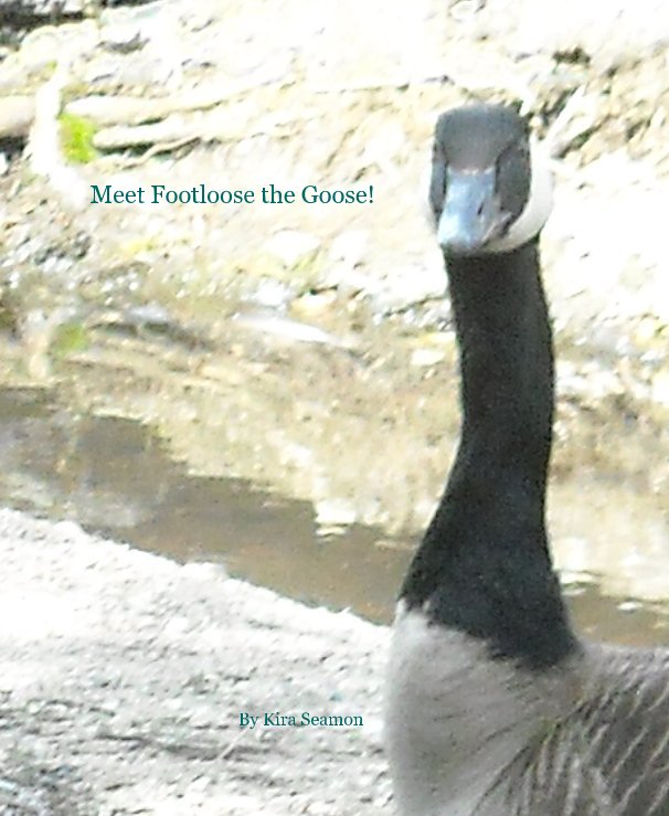 View Meet Footloose the Goose! by Kira Seamon