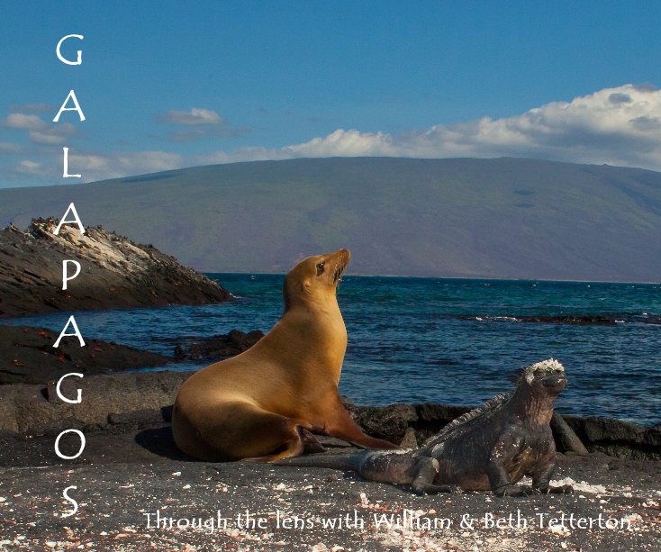 View GALAPAGOS by BETH TETTERTON
