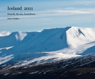 Iceland 2011 book cover