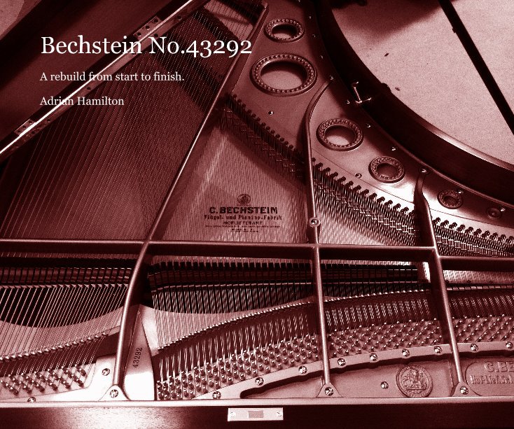 View Bechstein No.43292 by Adrian Hamilton