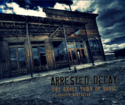 ARRESTED DECAY book cover