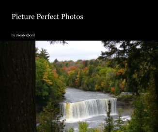 Picture Perfect Photos book cover