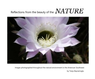 Reflections from the beauty of the NATURE book cover