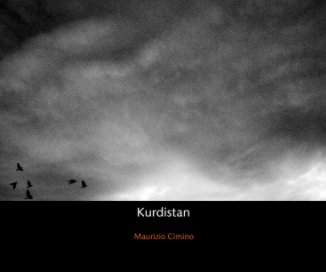 Kurdistan book cover