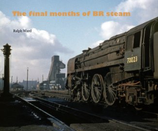 The final months of BR steam book cover