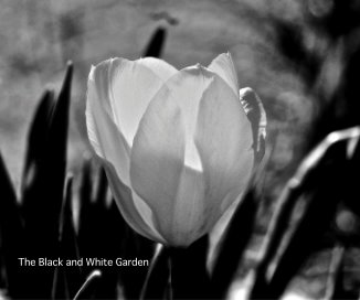 The Black and White Garden book cover