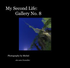My Second Life: Gallery No. 8 book cover