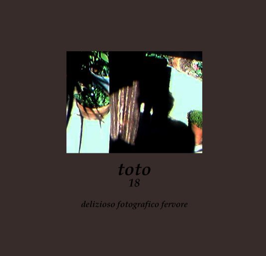 Ver toto por nicolo antonio maestri