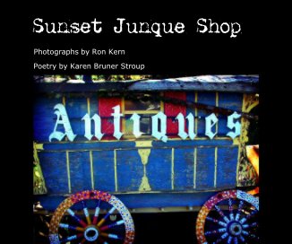 Sunset Junque Shop book cover