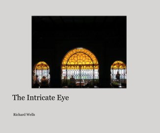 The Intricate Eye book cover