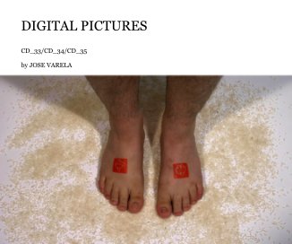 DIGITAL PICTURES book cover