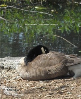 Footloose the Goose takes a snooze book cover