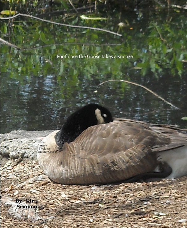 View Footloose the Goose takes a snooze by Kira Seamon