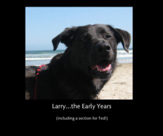 Larry...the Early Years book cover