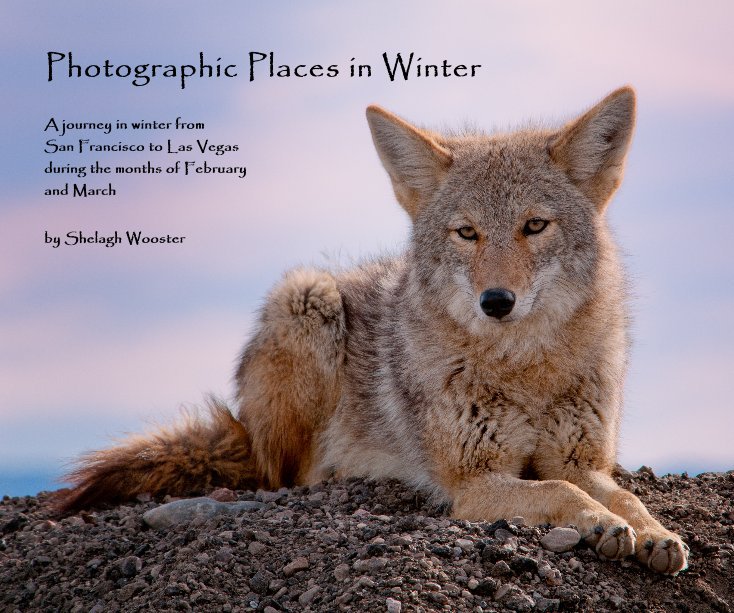 Visualizza Photographic Places in Winter di Shelagh Wooster