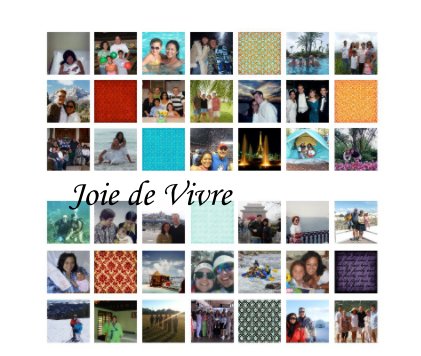 Joie de vivre book cover