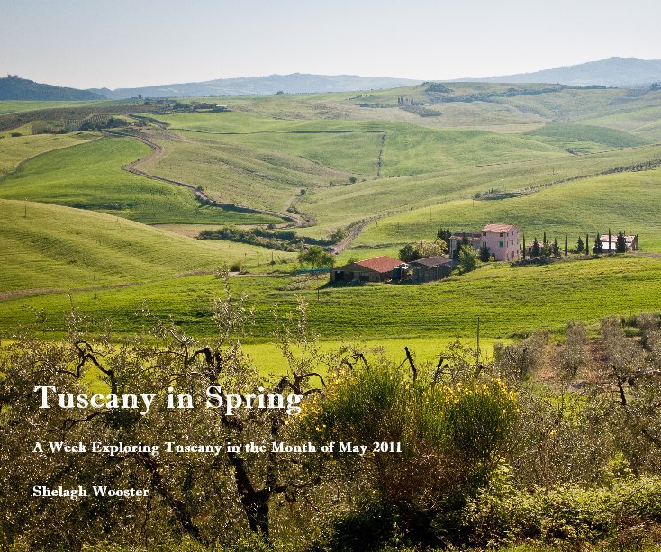 View Tuscany in Spring by Shelagh Wooster