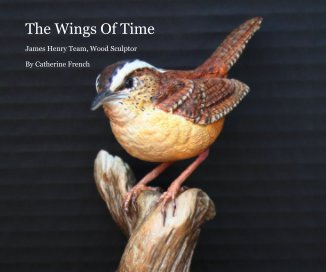 The Wings Of Time book cover